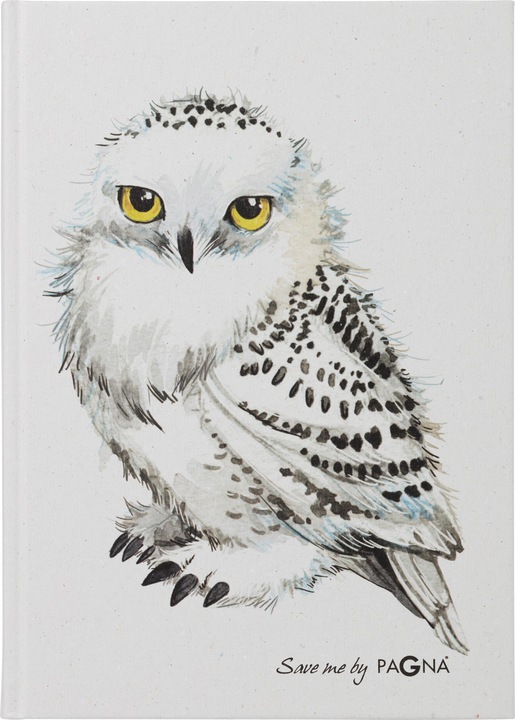 Actual product image Pagna 26084-15 Notebook A5 Owl 128S dotted lines (A5, Dotted, Hardcover)