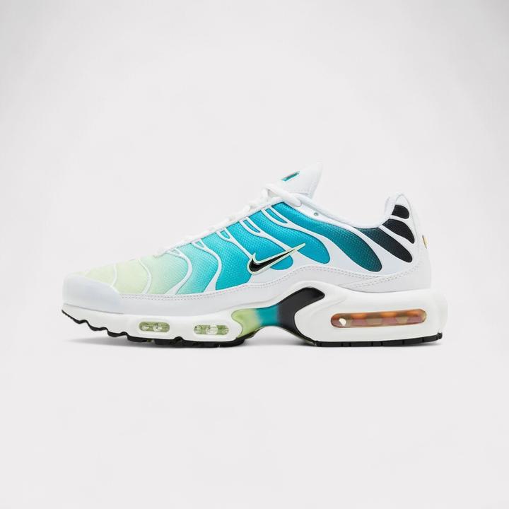 White, Black, Barely Volt, Dusty Cactus