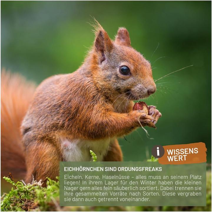 Produktbild Liebe Eichhörnchenfutter (2 kg)