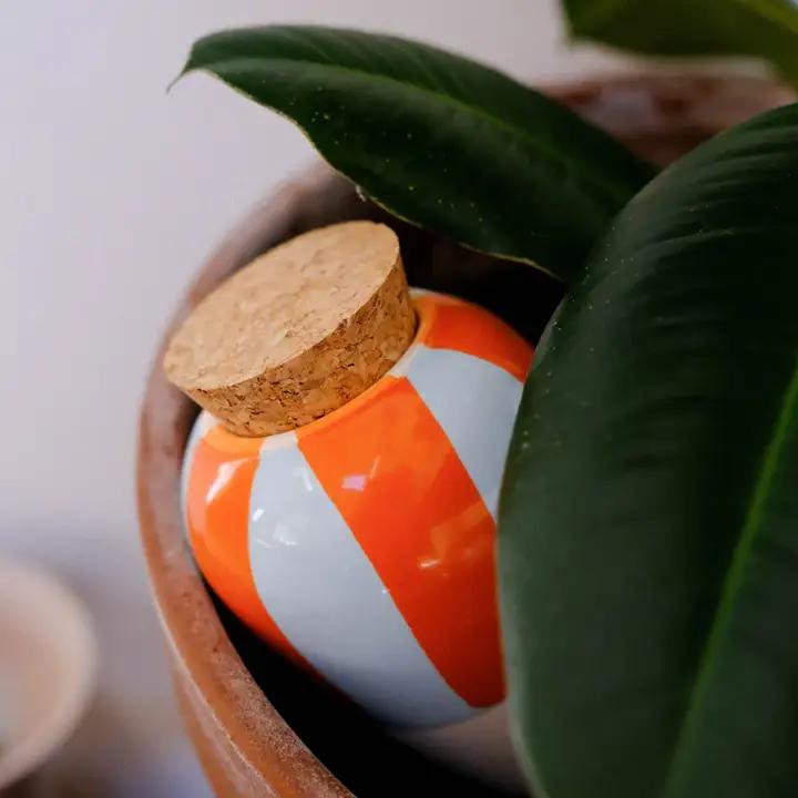 Image du produit Olla Selbstbewässerungssystem (Cône d'argile)