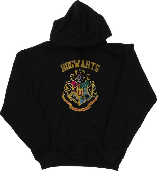 Image du produit - Sweat à capuche HOGWARTS VARSITY - Homme (XXL)