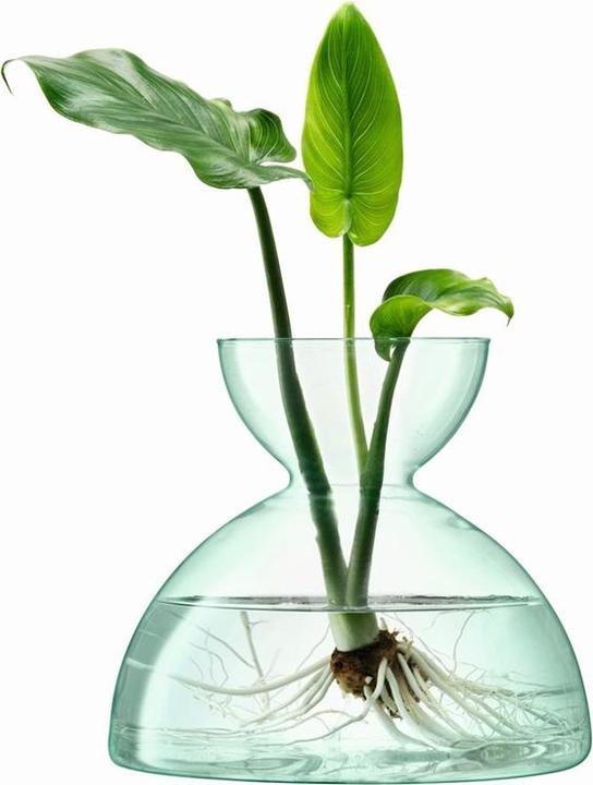 Image du produit LSA Canopy Vase H9.5cm - recy. Optik (1 x)