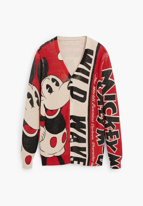 Image du produit Desigual Mickey Selvaggio (L)
