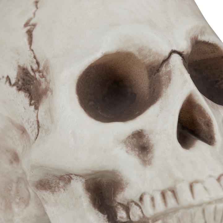 Produktbild Relaxdays Dekoknochen Halloween (12 Stück)