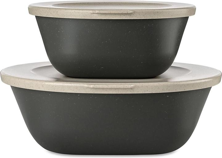 Actual product image Koziol Fresh food box set (1.30 l)