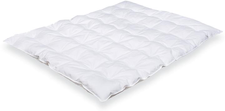 Produktbild Träumeland Daunentraum (100 x 135 cm)