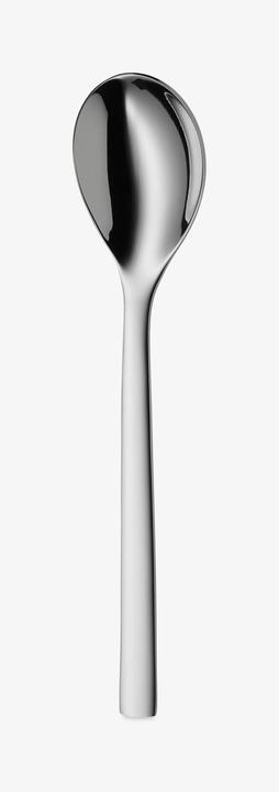 Actual product image WMF Atria (1 Piece, Scoops)