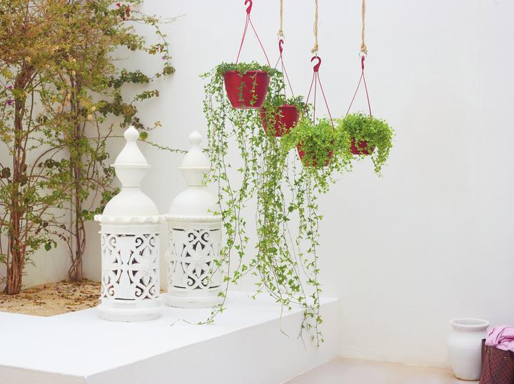 Produktbild Artevasi Algarve Hanging Basket (31 x 31 x 20.50 cm)