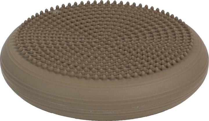 Produktbild Togu Dynair Ballkissen Senso XL 36 cm