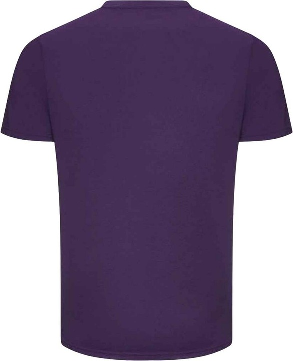 Actual product image Awdis Mens The 100 T-Shirt (XXL)