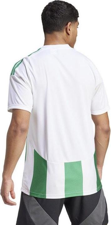 Produktbild adidas Striped 24 Trikot (L)