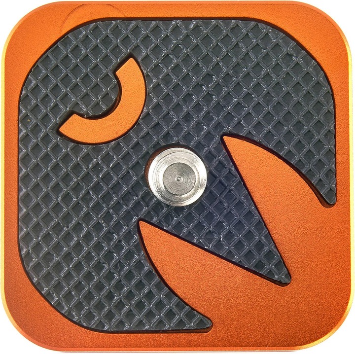 Immagine prodotto 3 Legged Thing QR4 plaat