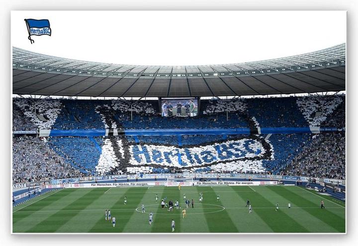 Actual product image Hertha BSC Game start in the stadium (45 x 30 cm)