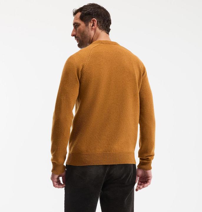 Actual product image La Redoute Collections Signature Rundhalspullover ELIOT (M)