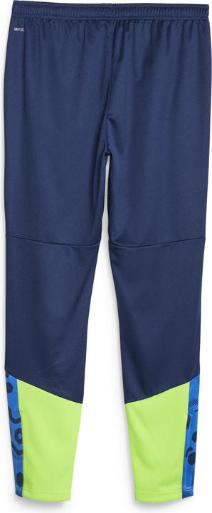 Actual product image Puma individualCUP Training Pants (XL)