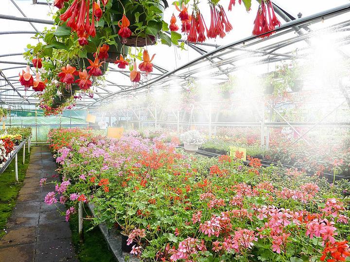 Image du produit Royal Gardineer Kit de pulvérisation d'eau (10 m)