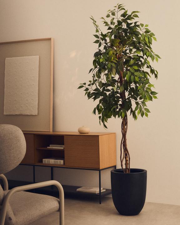 Actual product image Kave Home Ficus (180 cm)