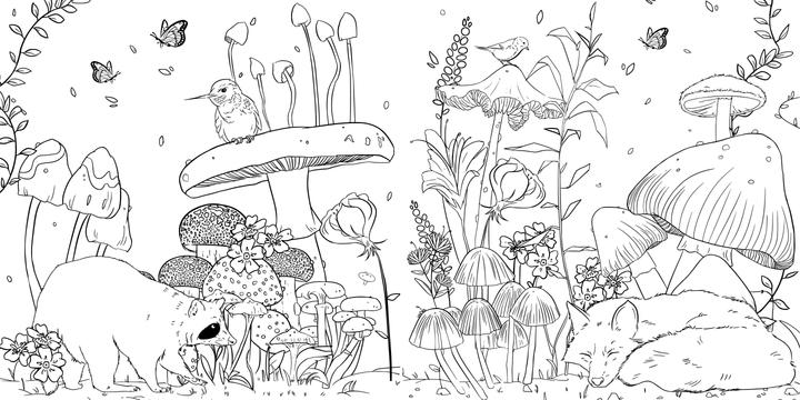 Produktbild Faszinierende Pilze