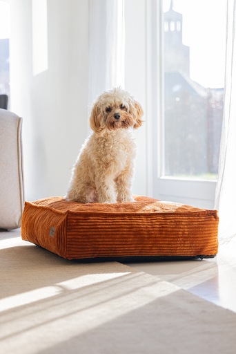 Productafbeelding Designed by Lotte DUBBEL BANKKUSSEN RIBBED TERRA 70X55X15 (Hond)