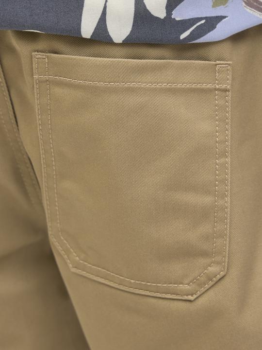 Actual product image Jack & Jones Relaxed Fit Loose Fit Shorts Loose Fit Shorts (164)