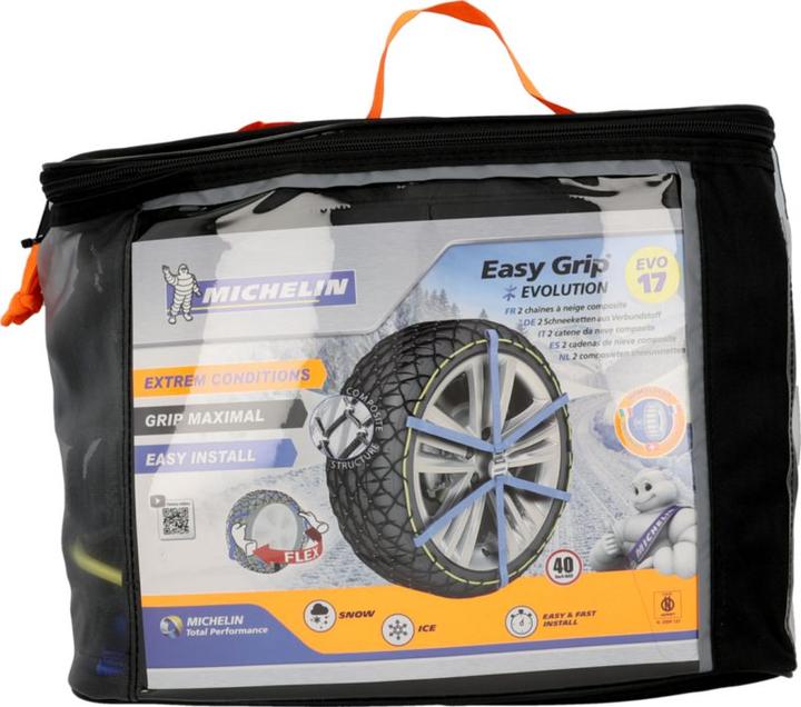 Immagine prodotto Michelin Facile presa EVO 17