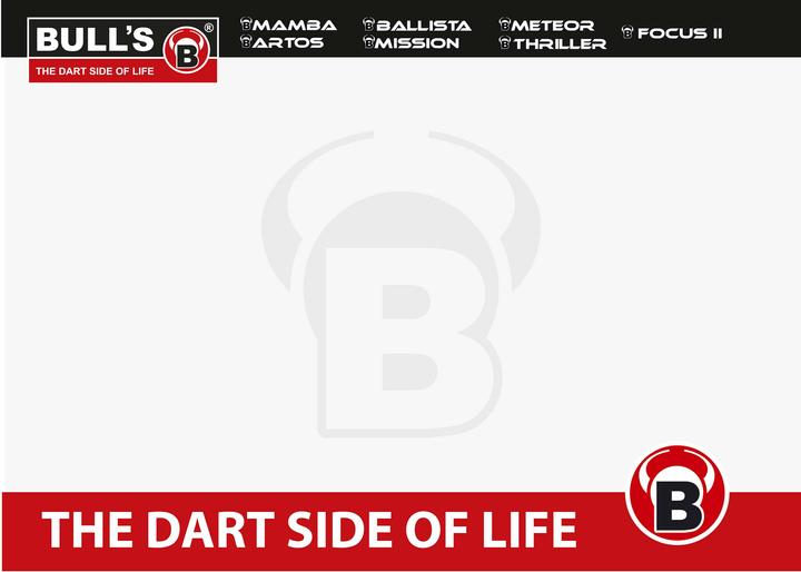 Bull's 180 Promo flyer