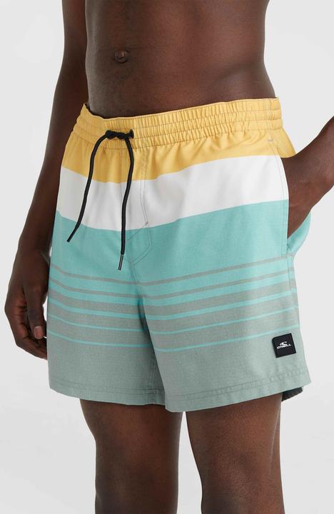 Image du produit O'Neill MIX & MATCH CALI PRINT 15" SWIM SHORT