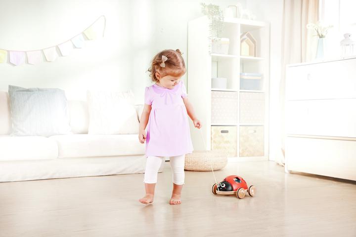 Actual product image Hape Shape sorter ladybug