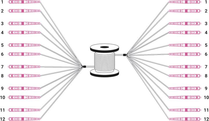 Actual product image Digitus Pre-assembled Fiberglass Universal Breakout Cable, Multi Mode OM4, 12 Fibers, LC/UPC - LC/UPC (LSOH, 150 m)