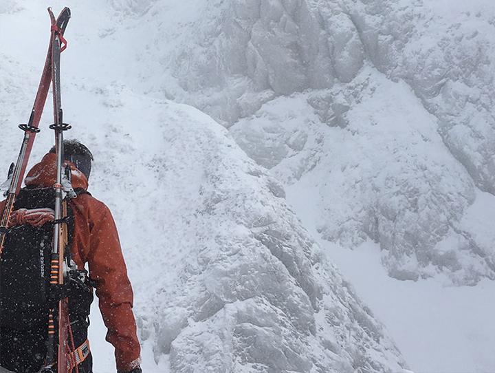 Immagine prodotto Arva Cinghia da sci 500mm 2022