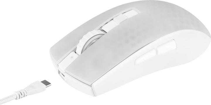 Immagine prodotto Deltaco Gaming DM320 / WM89 (Senza fili, Cablato)