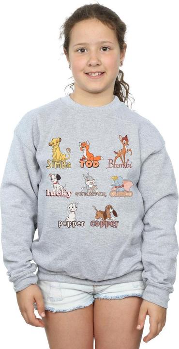 Produktbild Disney Little Friends Animals Sweatshirt Mädchen (140, 146)