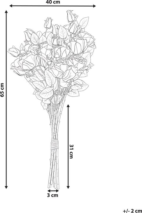 Immagine prodotto Beliani Boiro (65 cm)