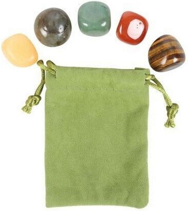 Actual product image Something Different Leo Tumbled Stone (Pack of 5)