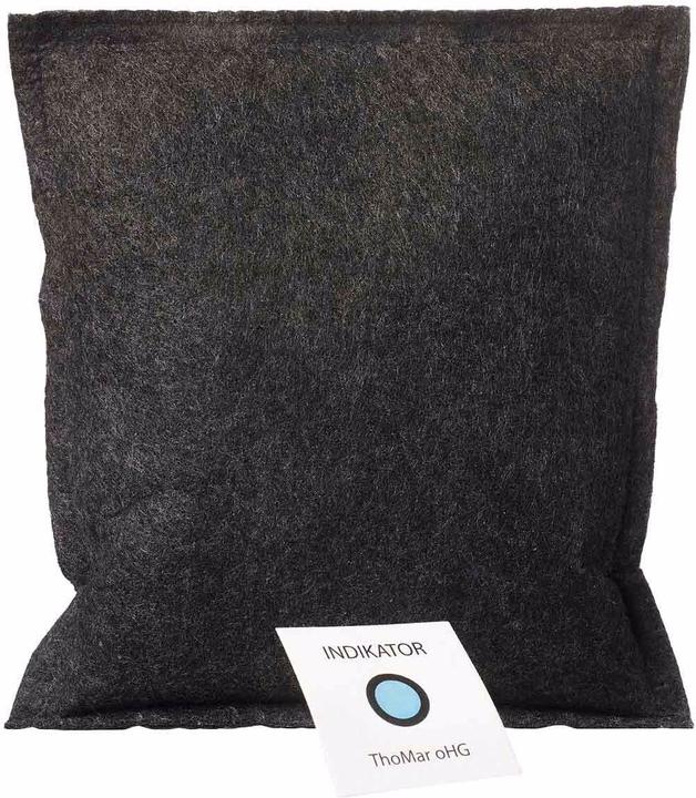 ThoMar Safe dry (1440.00 l/24h)