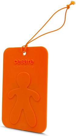 Image du produit Mr & Mrs Fragrance Scented Card Energy