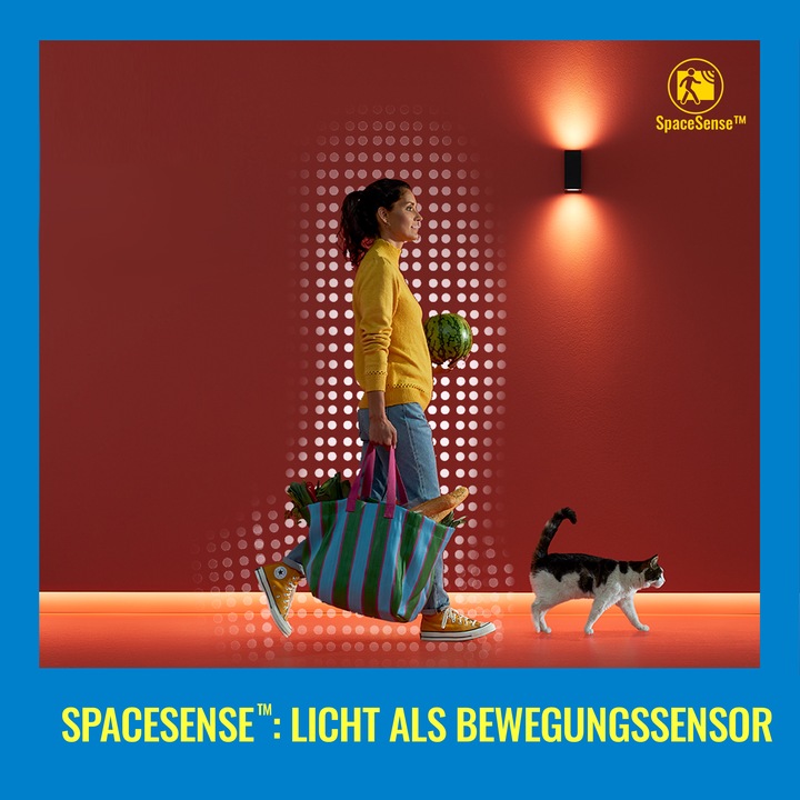 Actual product image WiZ Incandescent lamp (E27, 7 W, 806 lm, 2 x, E)