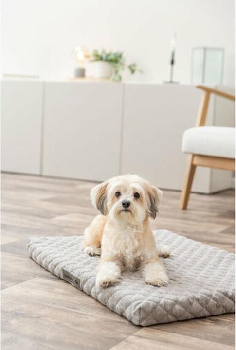 Produktbild Trixie Noah Vital mattress, square, 50 × 35 cm, light grey (Hund)