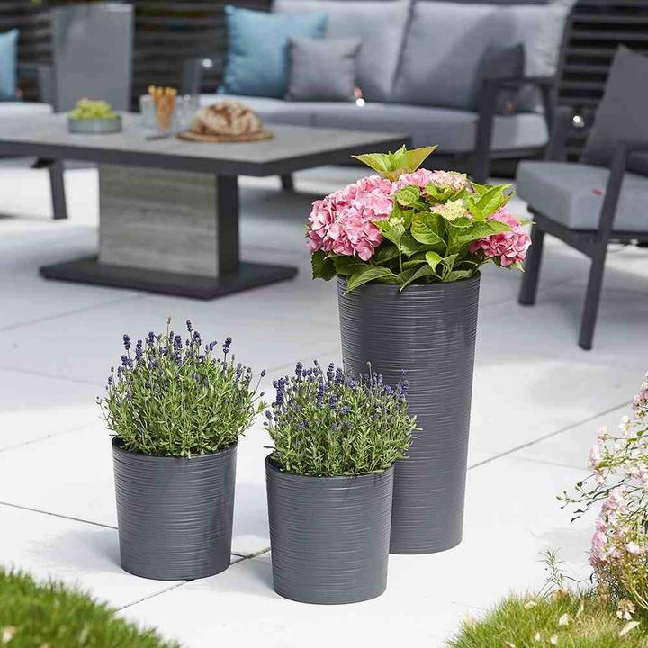 Immagine prodotto Siena Garden Fioriera Lens in plastica grafite 25 cm