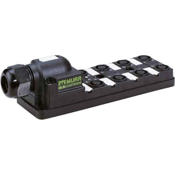 Murr Elektronik Distributore, Cavo + Spina elettrica, Nero