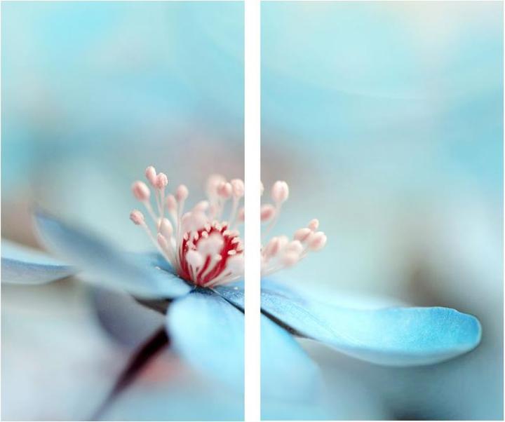 Image du produit Trenddeko Westum - Des fleurs délicates