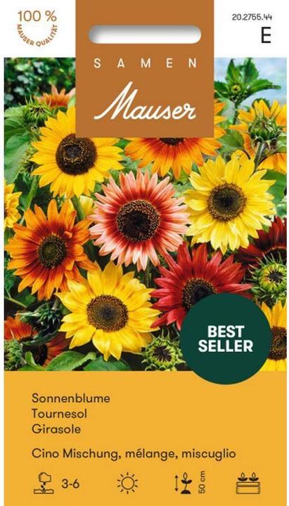 Actual product image Samen Mauser Sunflower Cino blend (Plant seeds)
