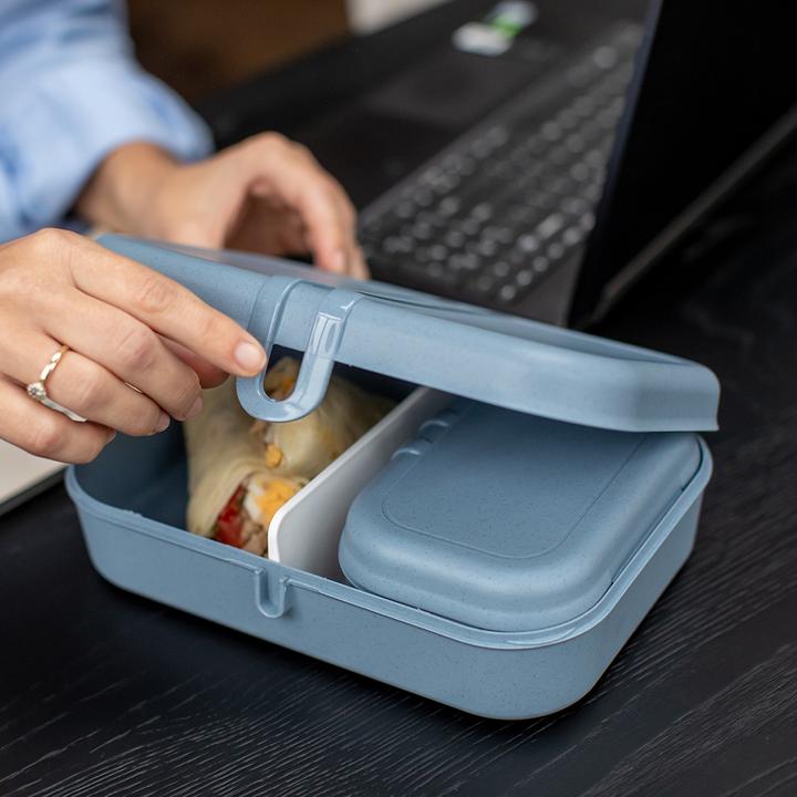 Actual product image Koziol Lunchbox Pascal