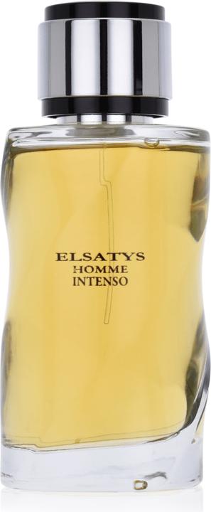 Immagine prodotto Reyane Tradition Elsatys Homme Intenso EDP 100ml (Eau de parfum, 100 ml)