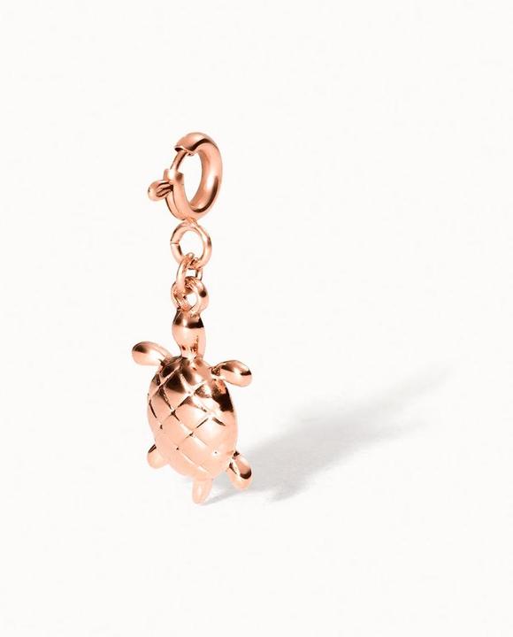 Image du produit Purelei Flex Schildkröten Charm
