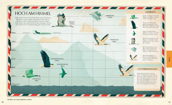 Actual product image Welt-Entdecker (German, Kaley McKean, Michael Kokoscha, Lizzie Munsey, Studio Muti, DK Verlag - Kids, 2025)