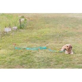 Thumbnail - Trixie Anlegepflock (40, Hund, Allgemein), Halsband + Leine