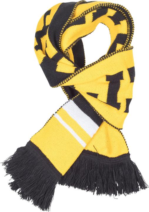 Actual product image Urban Classics Scarf