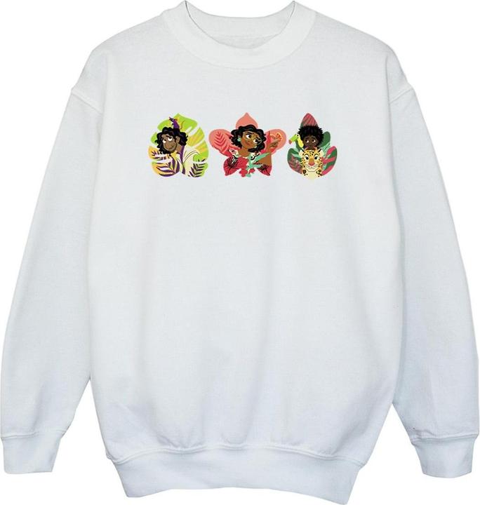 Produktbild Disney Encanto Family Line Sweatshirt Mädchen (128)