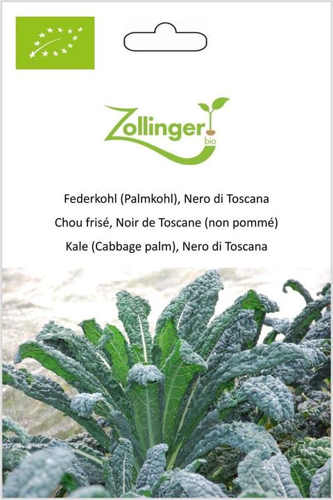 Actual product image Zollinger Bio Feather cabbage (palm cabbage), Nero di Toscana (Seedlings)